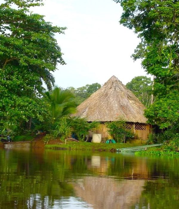 Tortuguero (1)