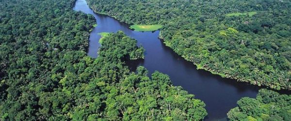 Tortuguero Beachfront