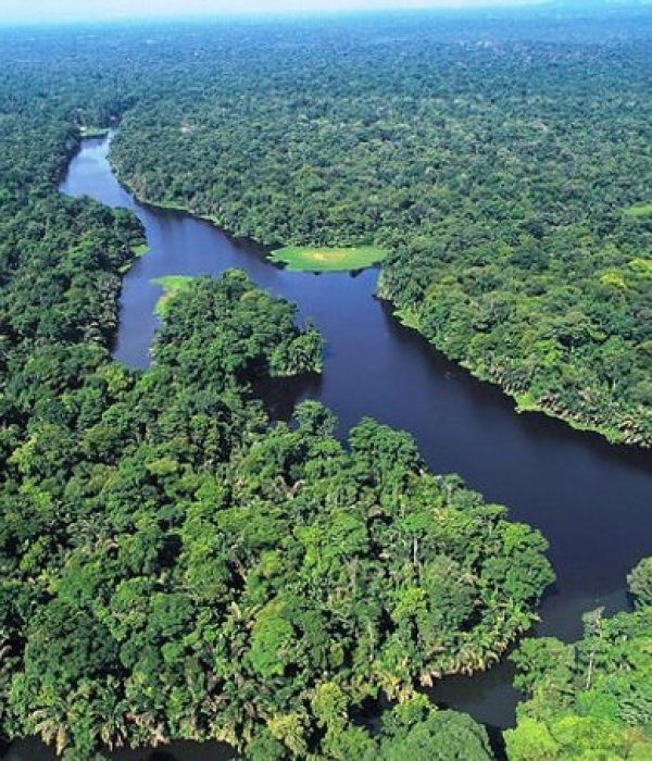 Tortuguero Beachfront