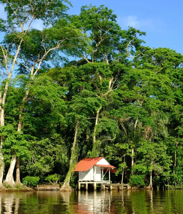 Tortuguero[1]