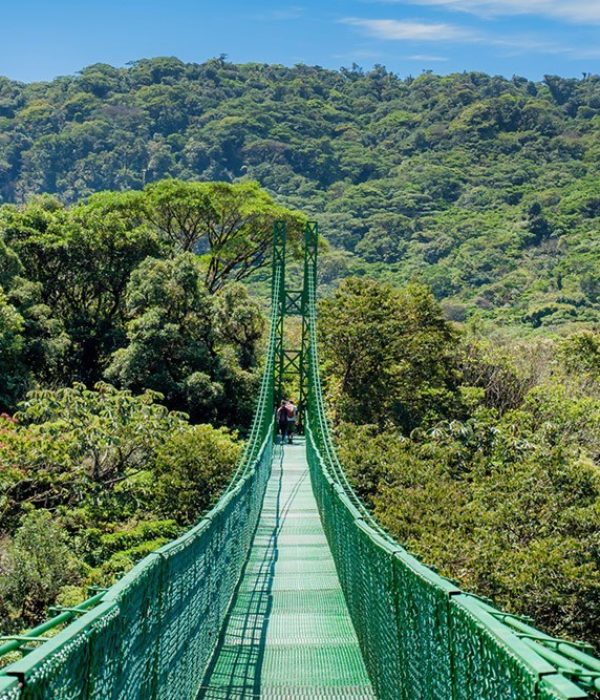 monteverde (1)