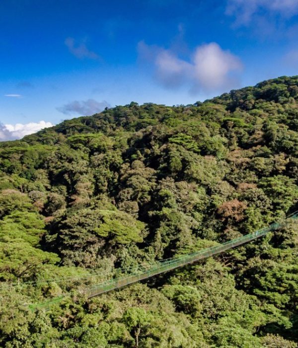 monteverde (5)